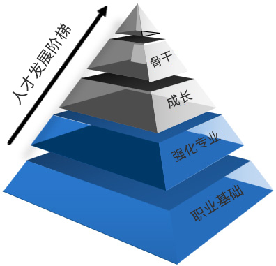 人才发展阶梯